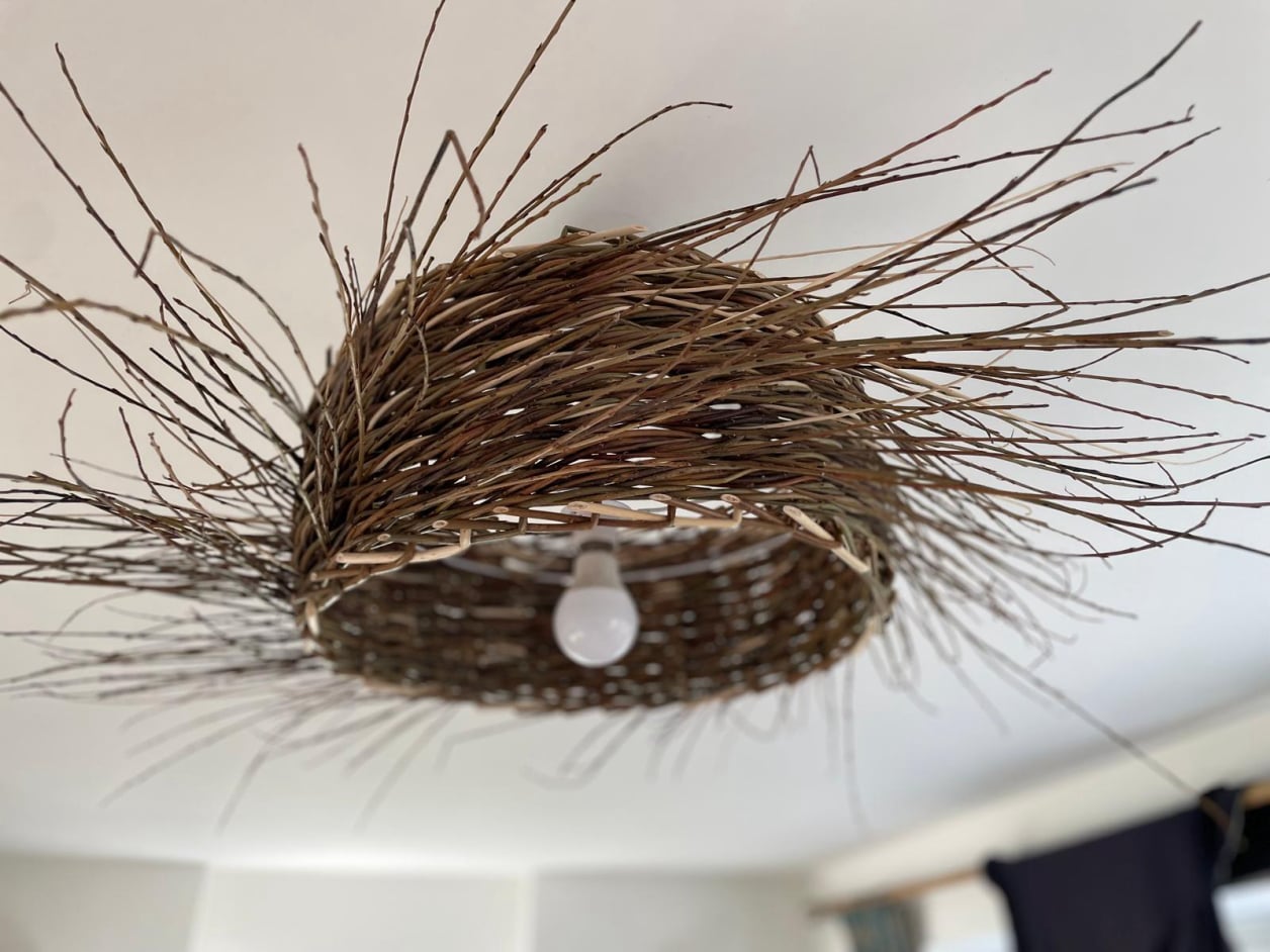 City and Guilds Level 2 Basketry: Unit 223