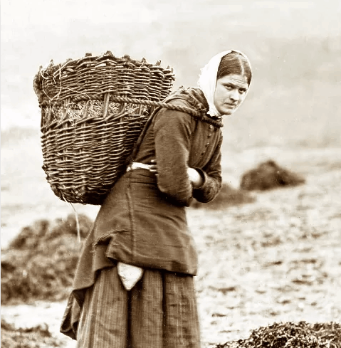 A Scottish crofter's peat basket Victorian period credit Mary Evans Picture Library Photo Prints and Wall Art