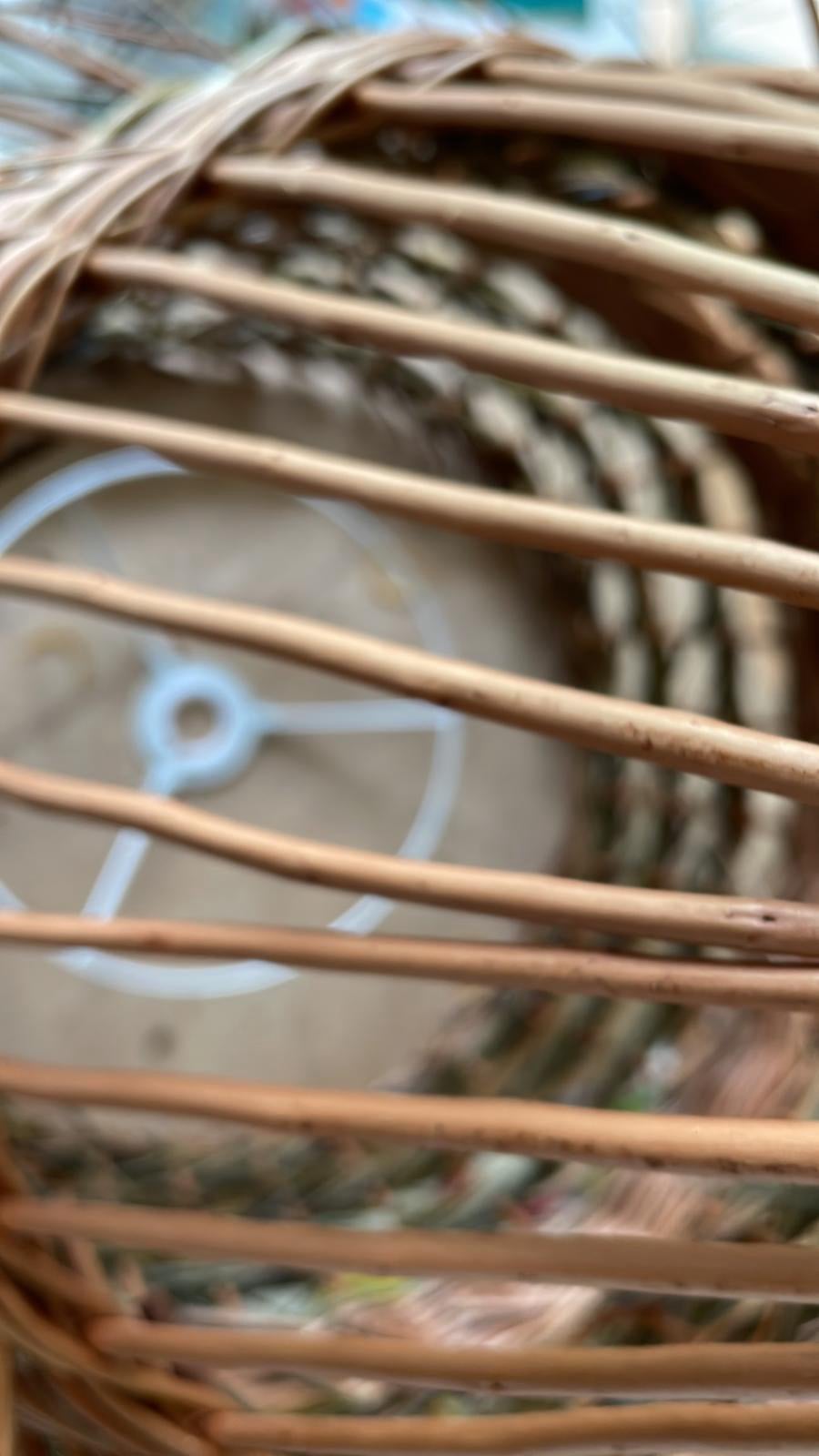 Willow lampshade in progress